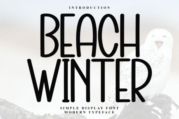 Beach Winter: A Timeless Display Font for Branding and Design